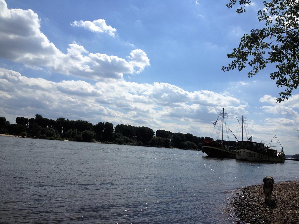 Koeln City Apartments מראה חיצוני תמונה